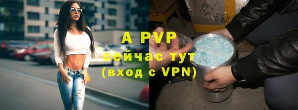 гидропоника Тавда