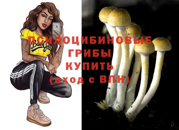 прущий лед Богородицк