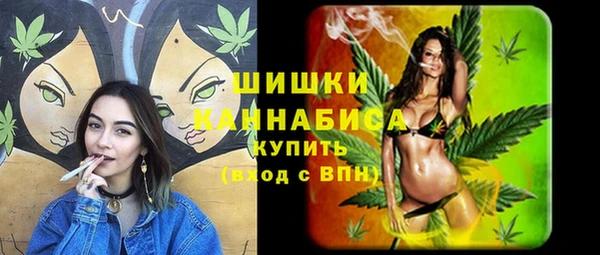 ПСИЛОЦИБИНОВЫЕ ГРИБЫ Богородск