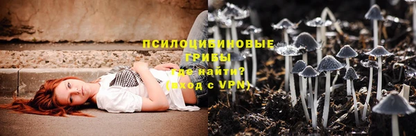прущие крисы Богданович