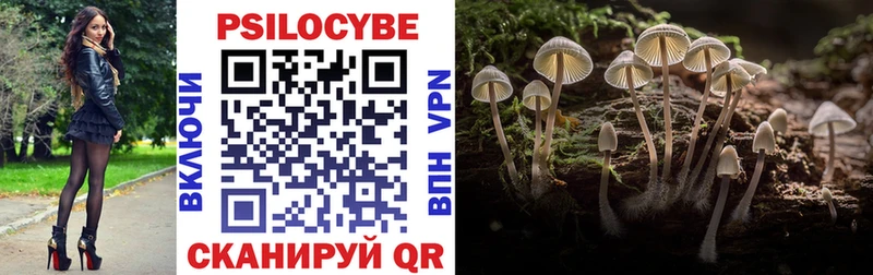сколько стоит MEGA маркетплейс Псилоцибиновые грибы прущие грибы Верхний Тагил